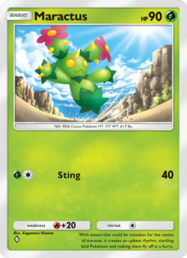 Maractus