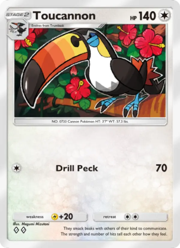 Toucannon